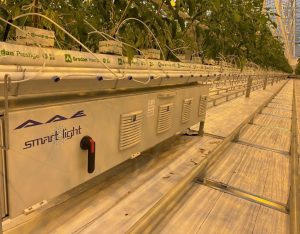 smart light saving system in greenhouse